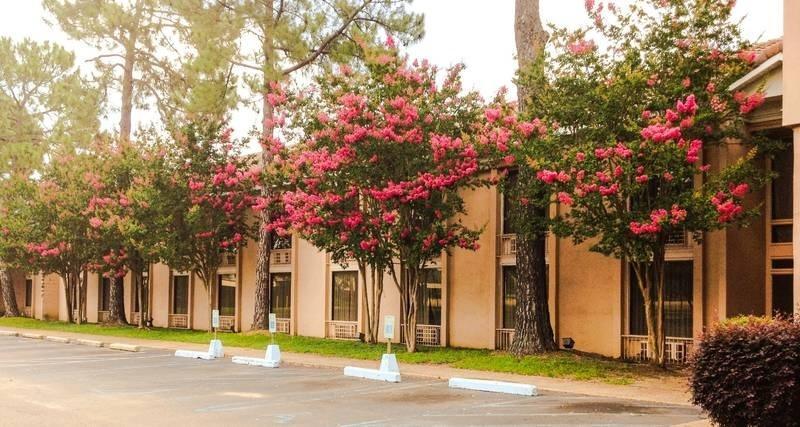 Regency Hotel & Conference Center Jackson Ngoại thất bức ảnh